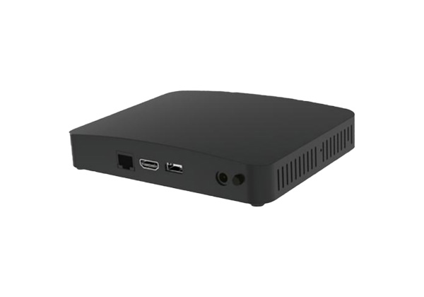 MT5061