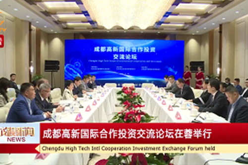 友华参加国际论坛